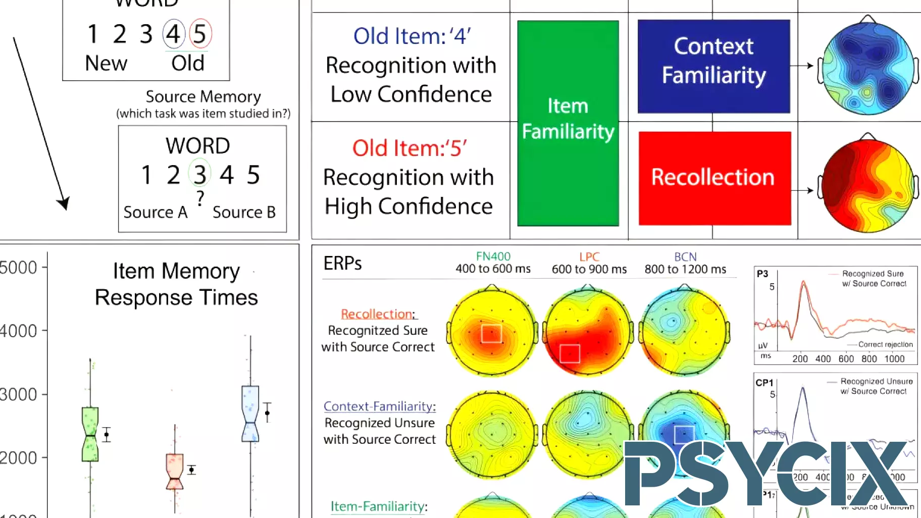 Breakthrough in Understanding Human Memory Processes