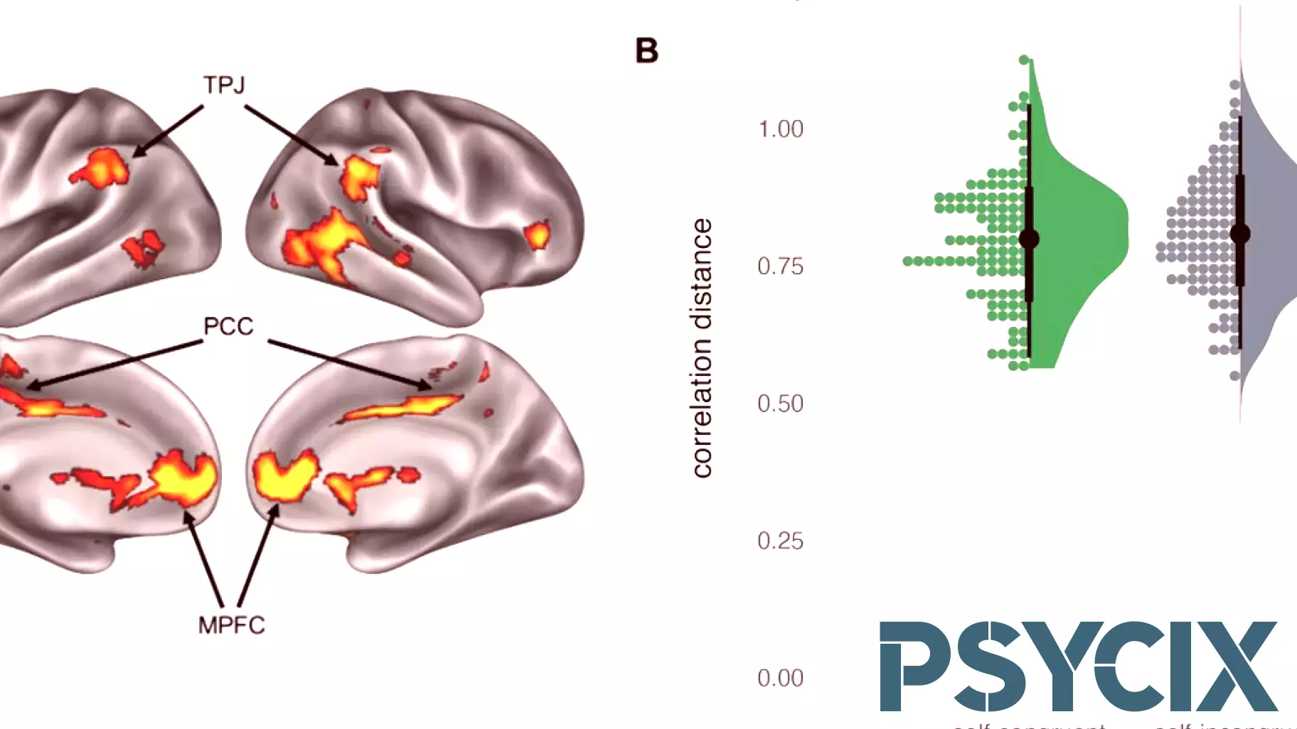 The Impact of Self-Esteem on Brain Representations of Self