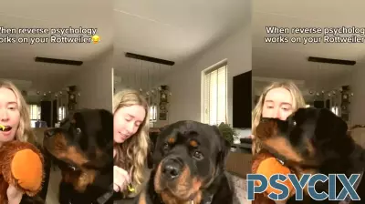 Clever Owner Outsmarts Rottweiler with Reverse Psychology